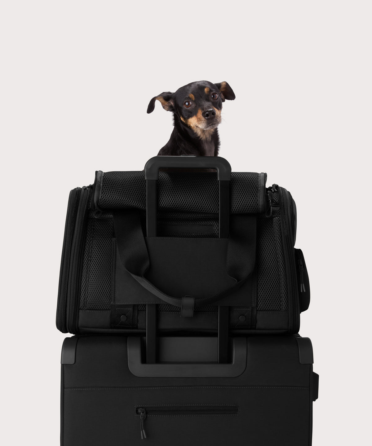Kyoto Pet Carrier in Onyx, Large - Image 7