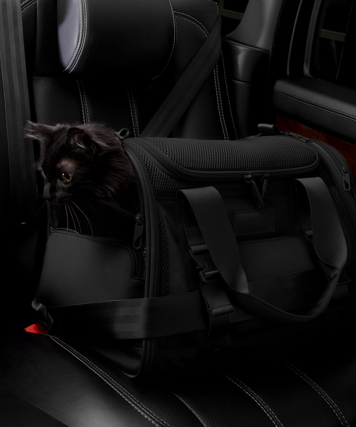 Kyoto Pet Carrier in Onyx, Large - Image 9