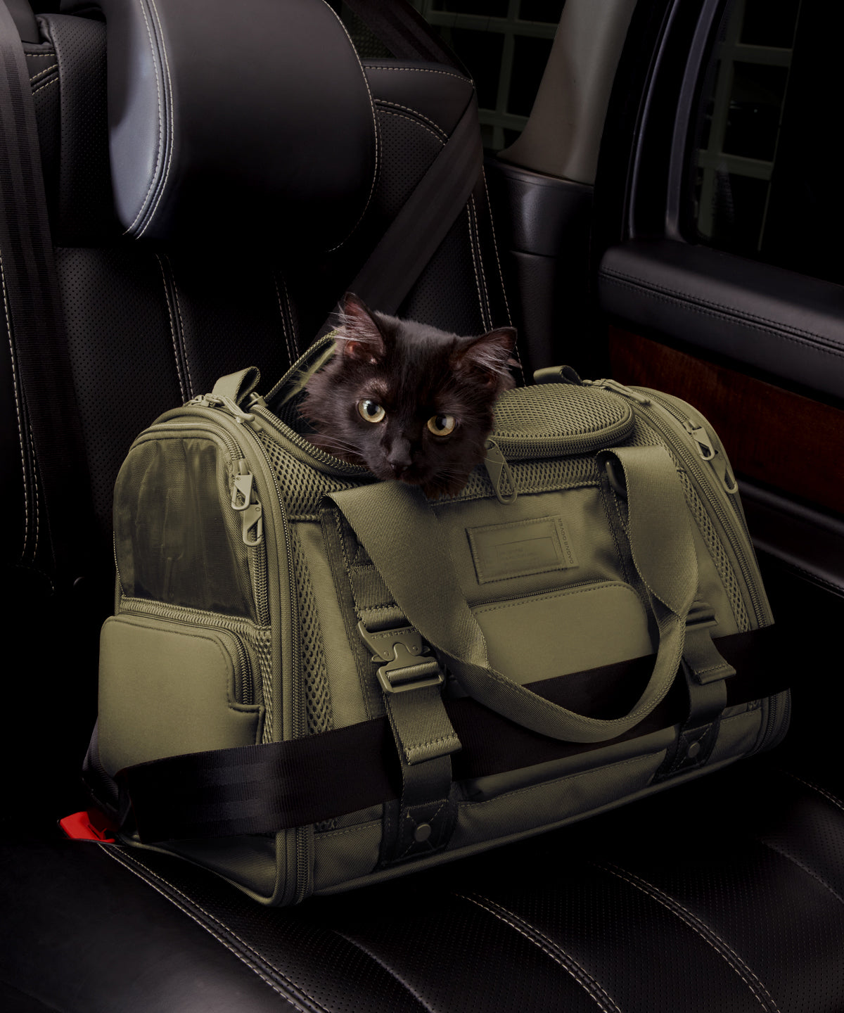 Kyoto Pet Carrier in Dark Moss, Small - Image 9
