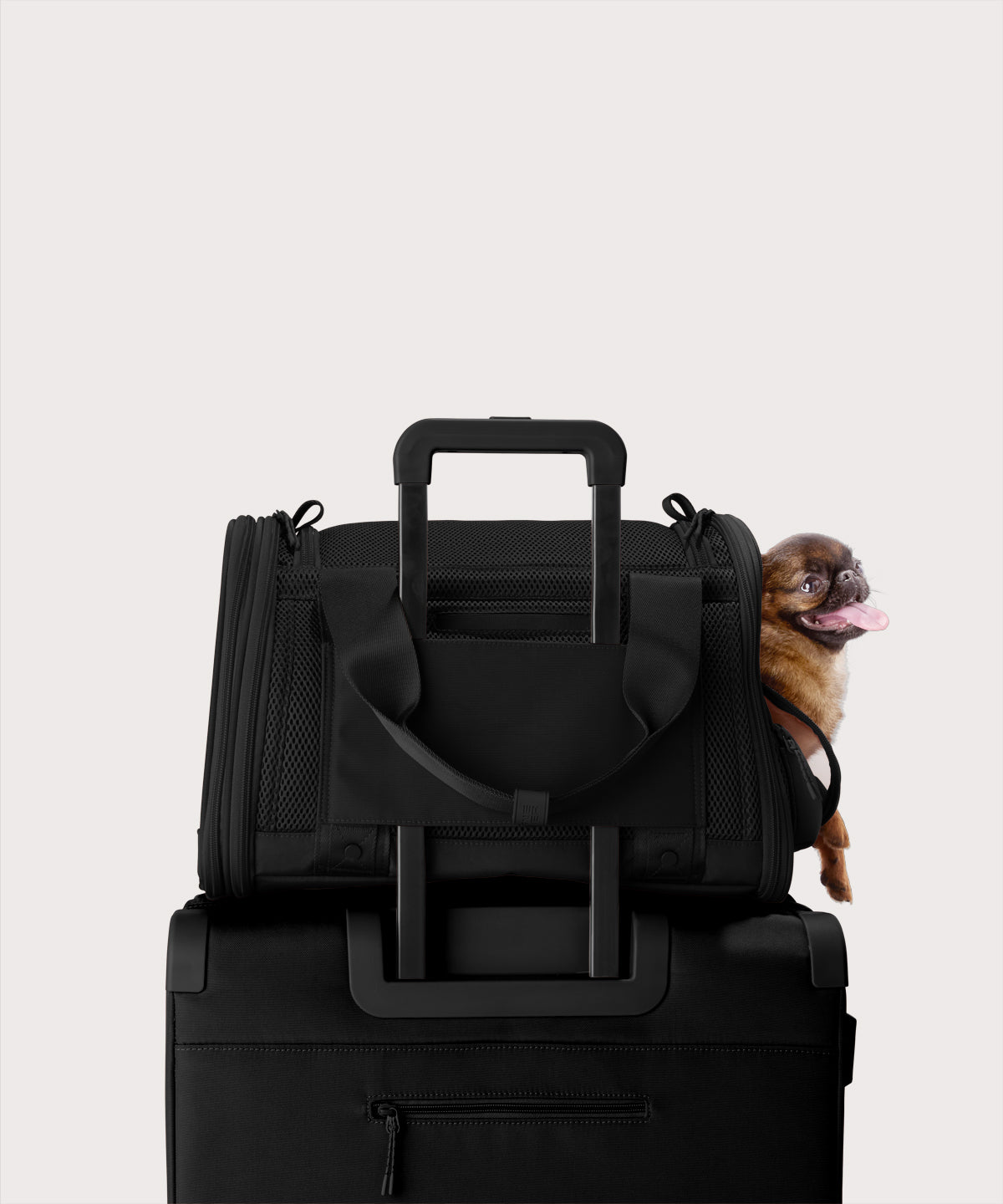 Kyoto Pet Carrier in Onyx, Small - Image 7