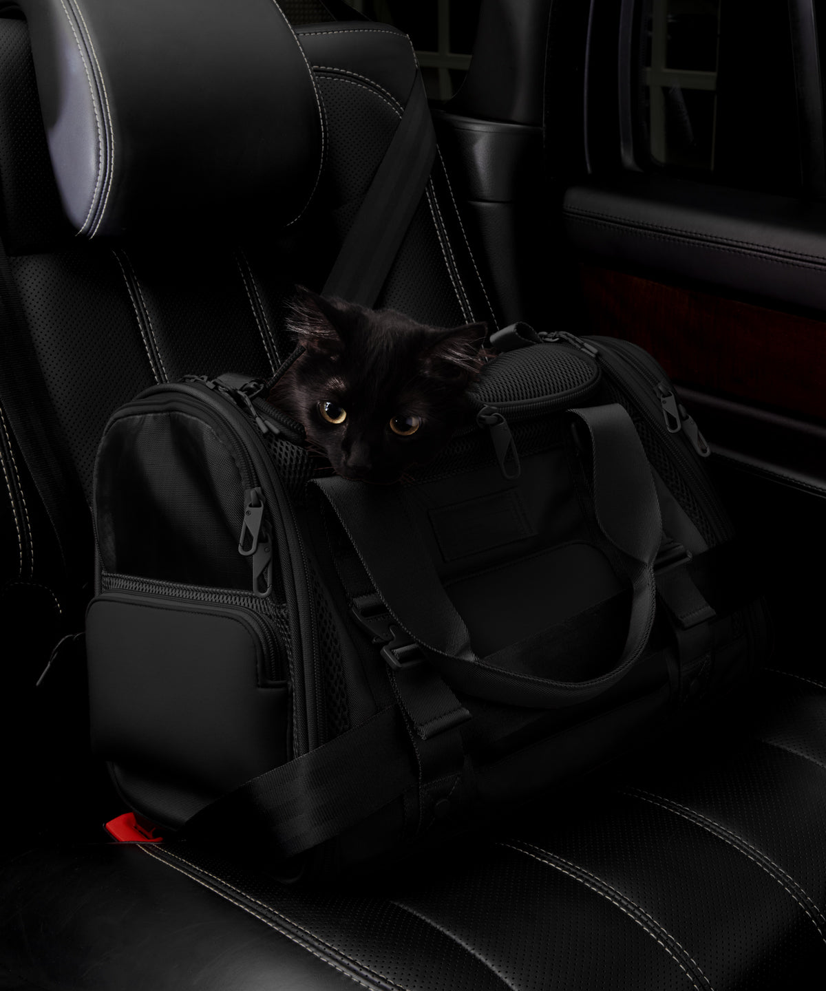 Kyoto Pet Carrier in Onyx, Small - Image 9
